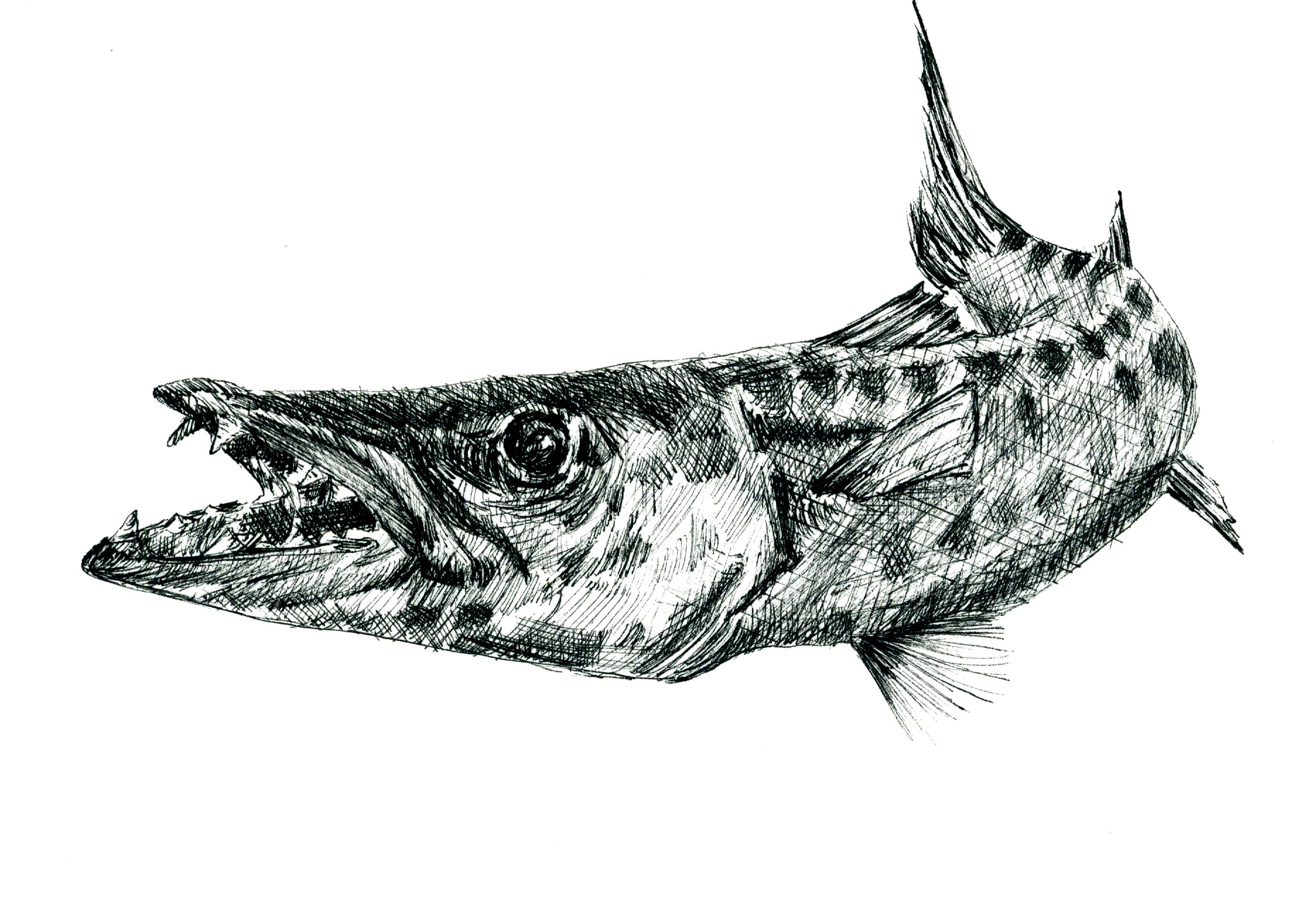 Especies peligrosas
